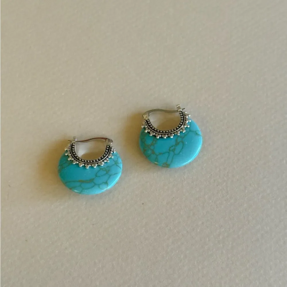 Stone Hoop Earrings N1672